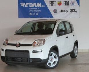 Fiat Fiat Panda Base 1.0 MildHybrid *KomfortPak* Gebrauchtwagen
