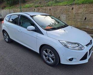 Opel Ford Focus 1,0 EcoBoost 92kW Champions Edition 