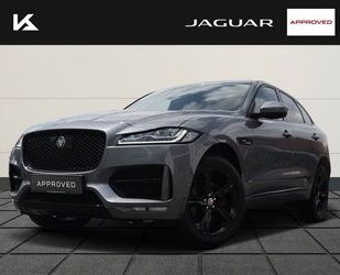 Jaguar Jaguar F-Pace 30d R-Sport Allrad StandHZG Navi dig Gebrauchtwagen