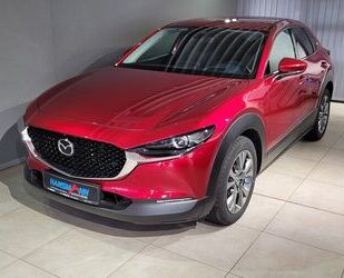 Mazda Mazda CX-30 Selection X-180/AWD/Des-P./Act-P./Navi Gebrauchtwagen