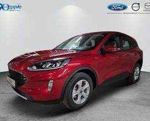 Ford Ford Kuga 2.5 Duratec FHEV COOL&CONNECT Gebrauchtwagen