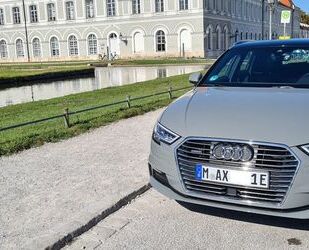 Audi Audi e-tron A3 Gebrauchtwagen