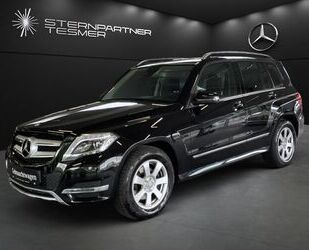 Mercedes-Benz Mercedes-Benz GLK 220 CDI 4M Leder +Kamera+Bi-Xeno Gebrauchtwagen