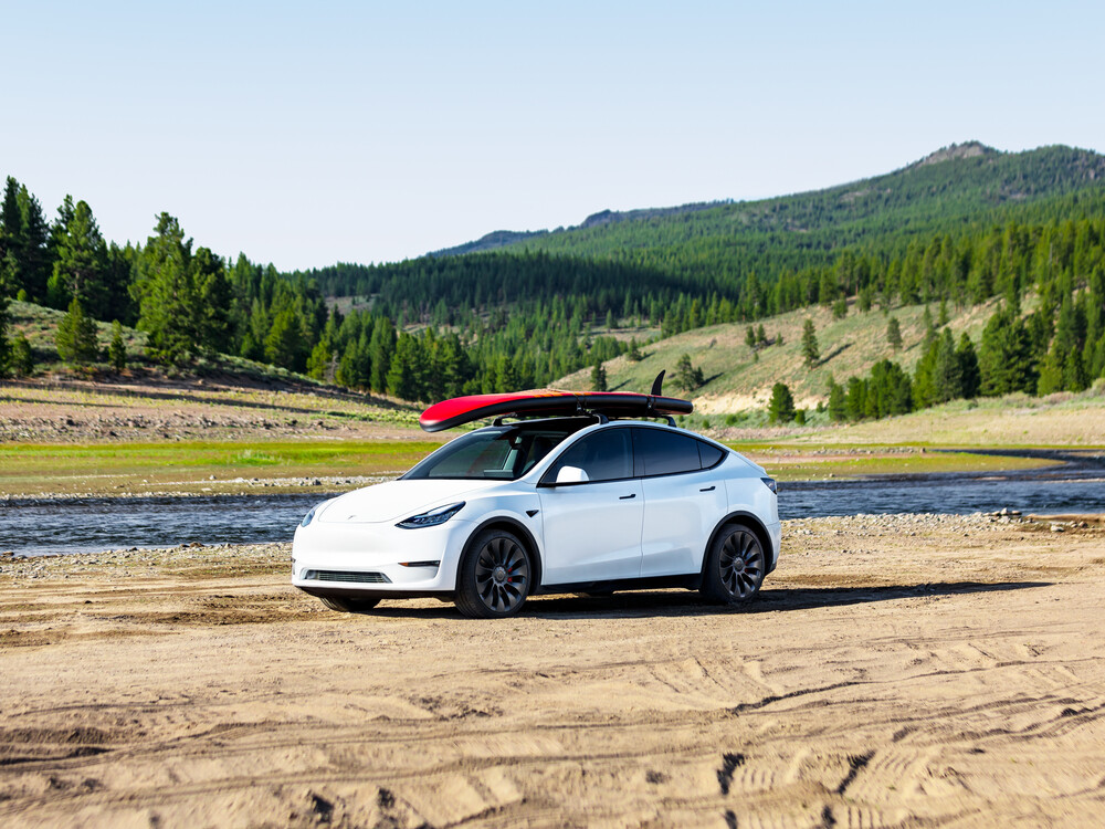 Das Tesla Model Y Bild