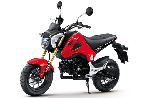 Motorrad: Honda MSX 125 - Leichtkraftrad in der Tradition der Dax und der  Monkey