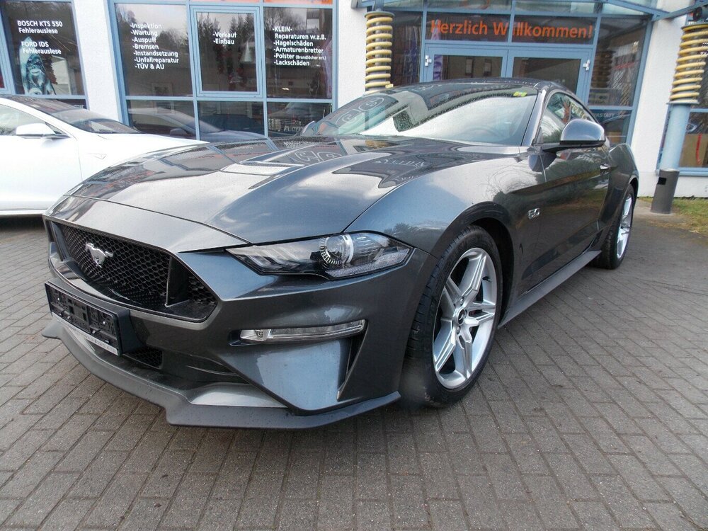 Mustang