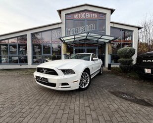 Ford Mustang 3,7 Leder