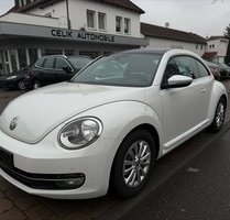 VW New Beetle