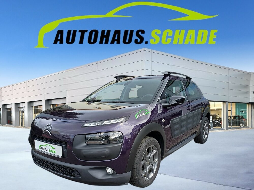 C4 Cactus