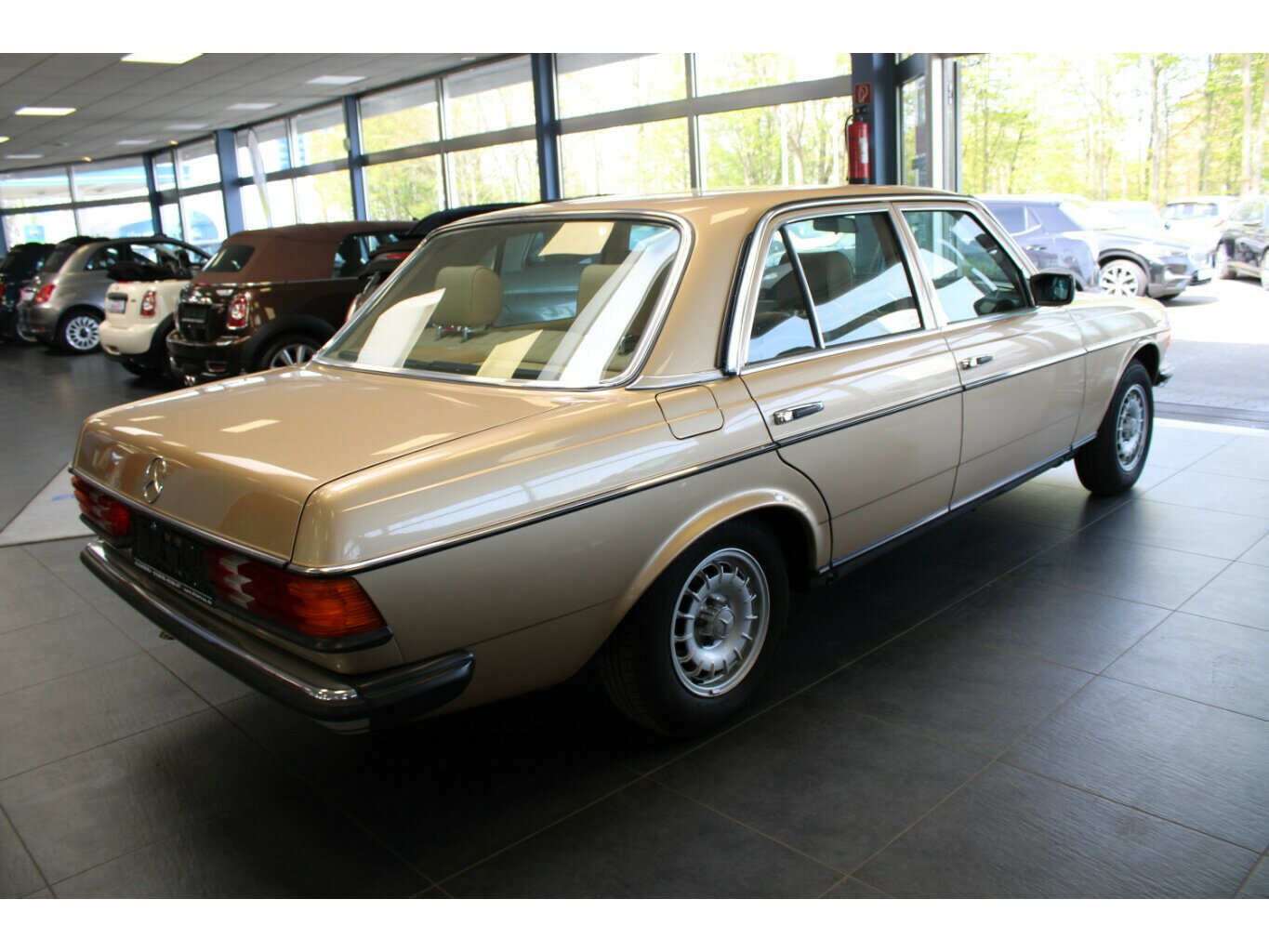 Bild 7