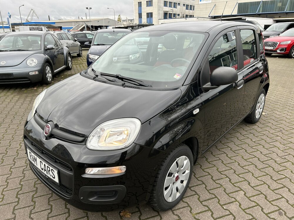 Panda