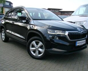 Skoda Karoq 1.5TSI Style 360° ACC Columbus Matrix Gebrauchtwagen