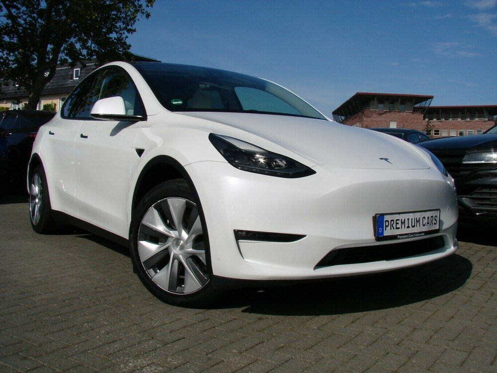 Model Y