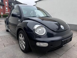 Beetle