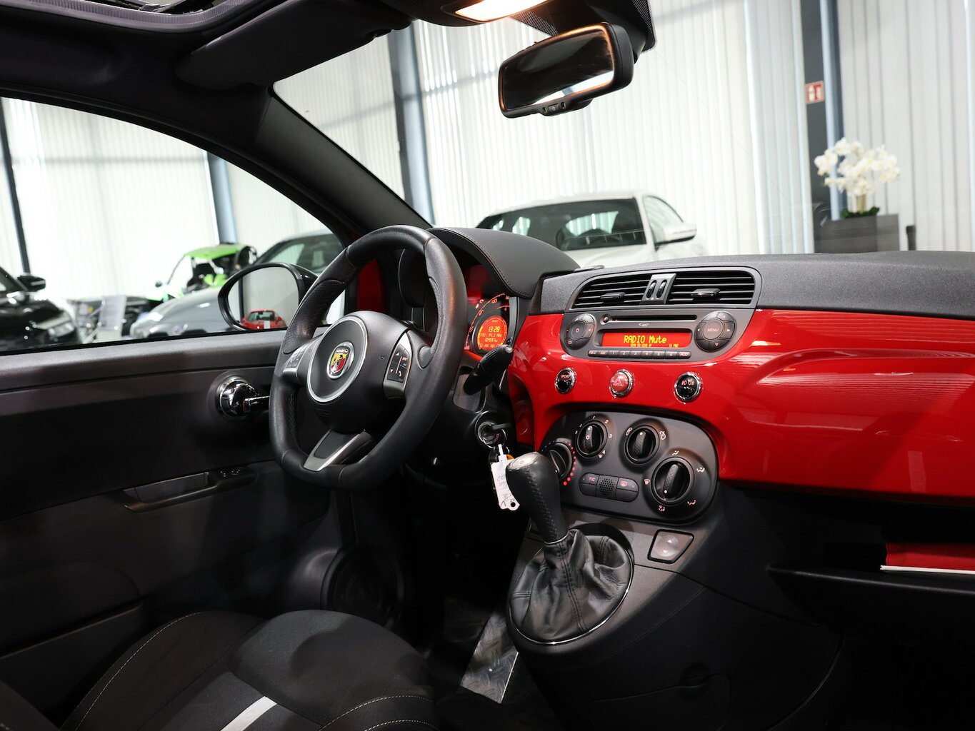 Bild 19