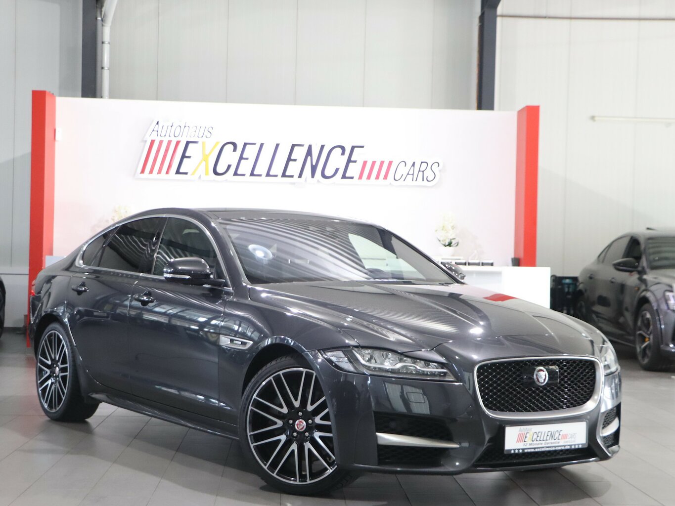 XF