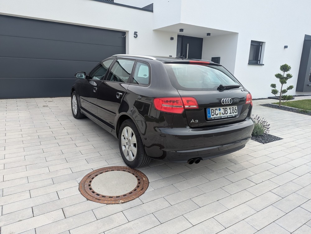 Bild 8