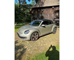 VW Beetle Gebrauchtwagen