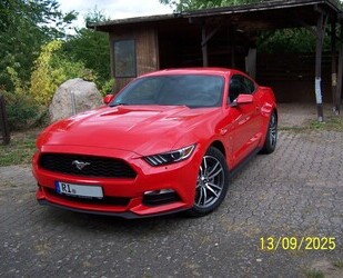 Ford Mustang Gebrauchtwagen
