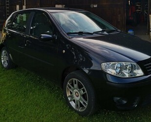 Fiat Punto Gebrauchtwagen
