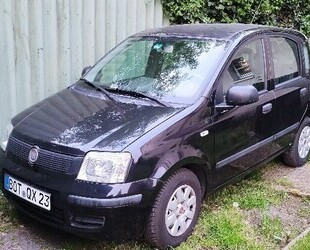 Fiat Panda Gebrauchtwagen