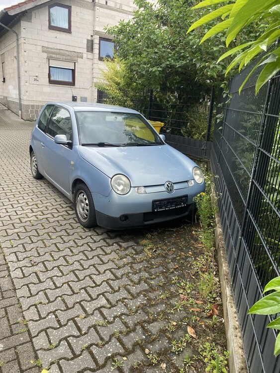 Bild 5