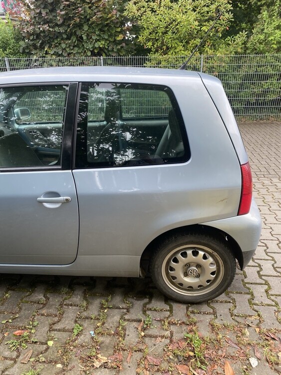 Bild 7