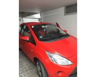 Ford Ka Gebrauchtwagen