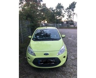 Ford Ka Gebrauchtwagen
