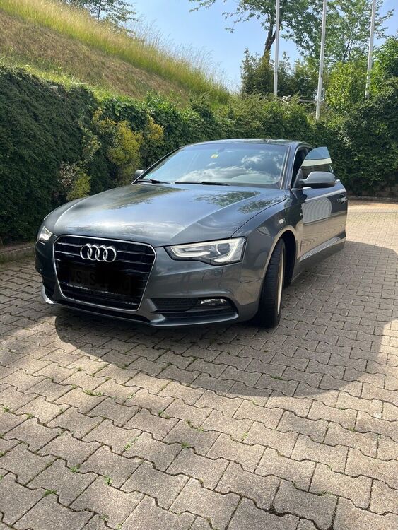 SPORTBACK