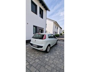 Fiat Punto Evo Gebrauchtwagen