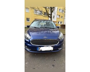 Ford Ka Gebrauchtwagen