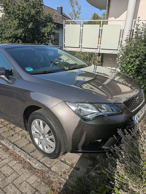 Bild 1