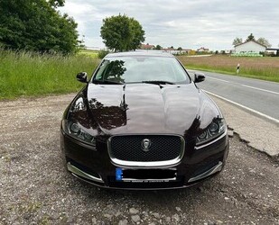 Jaguar XF Gebrauchtwagen