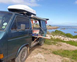 VW Microbus 