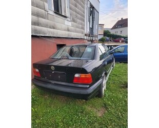 BMW BMW E36 Gebrauchtwagen