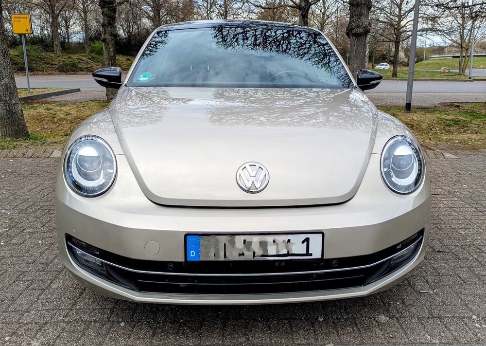 Bild 8