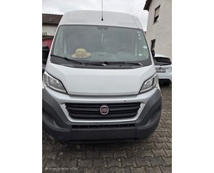 Fiat Ducato Gebrauchtwagen