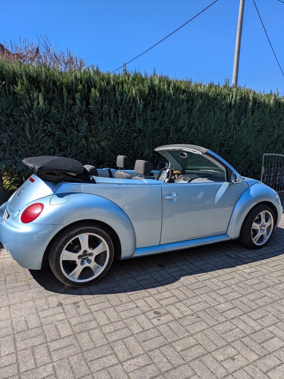 Beetle