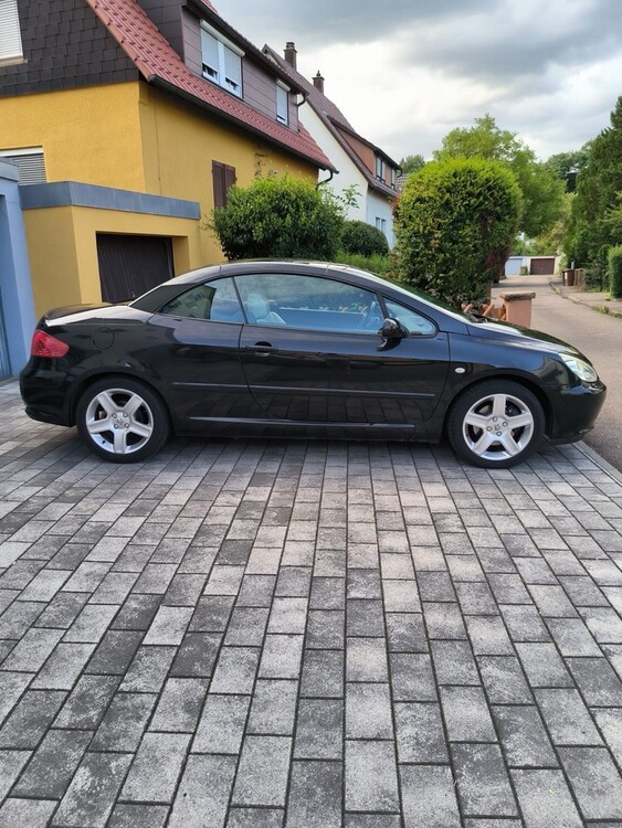 Bild 7
