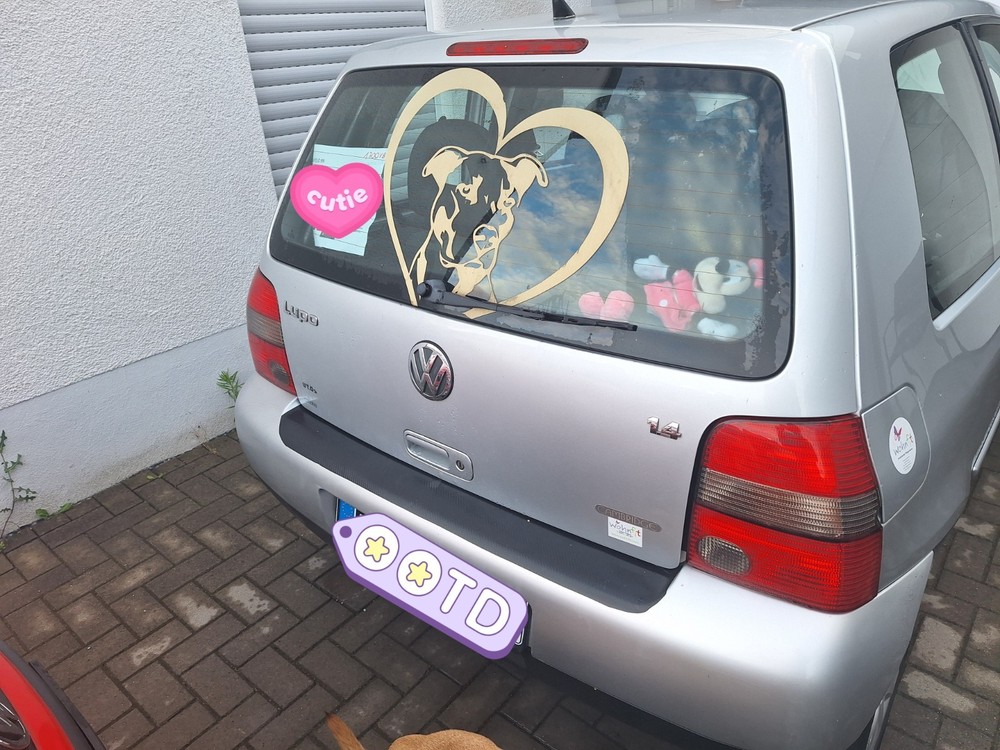 Bild 3