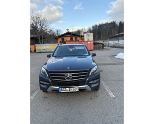 Mercedes-Benz ML 350 Gebrauchtwagen