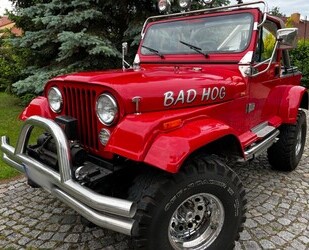 Jeep Wrangler Gebrauchtwagen