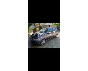 Fiat Punto Gebrauchtwagen