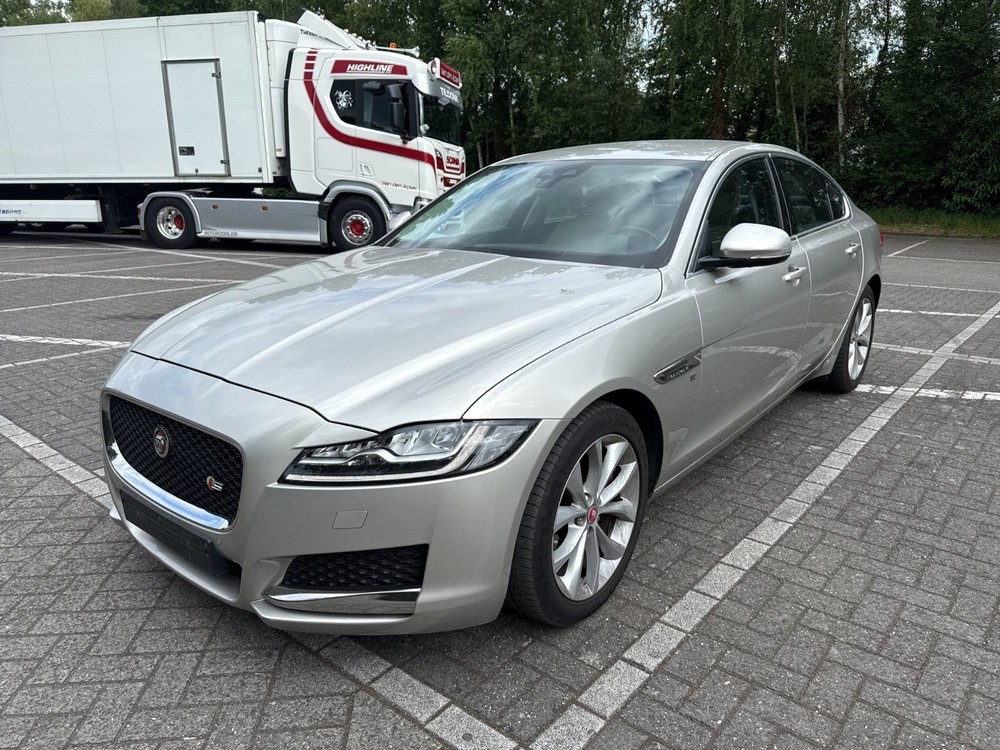 XF