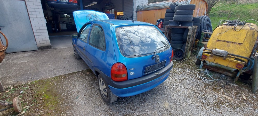 Bild 5