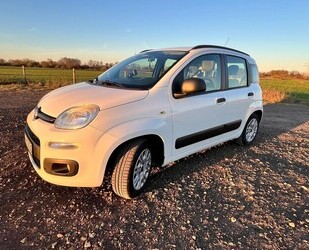 Fiat Panda Gebrauchtwagen