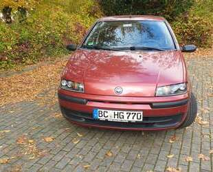 Fiat Punto Gebrauchtwagen