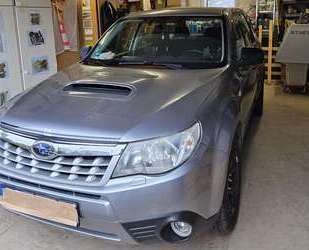Subaru Forester Gebrauchtwagen