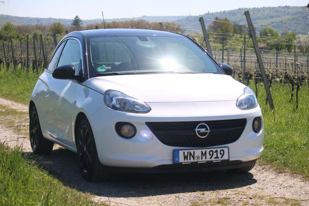 Bild 1